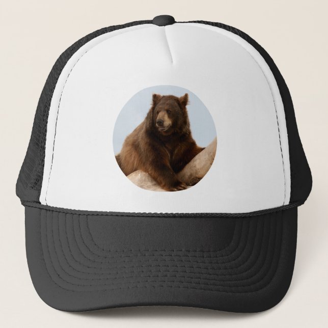 Big Brown Bear Truckerkeps (Framsida)