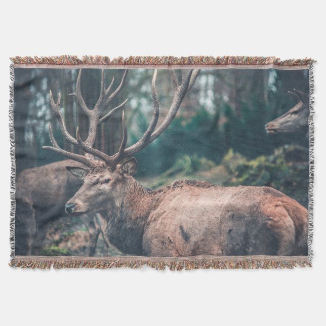 Big Brown Buck Hjort med stora Antlers Filt (Framsidan)