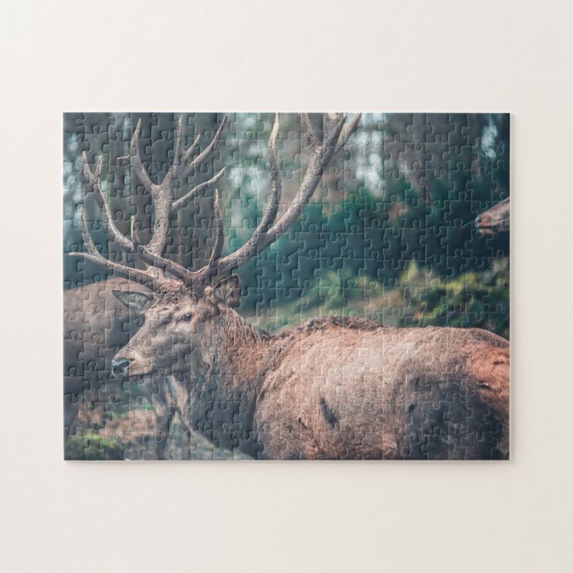 Big Brown Buck Hjort med stora Antlers Pussel (Horisontell)