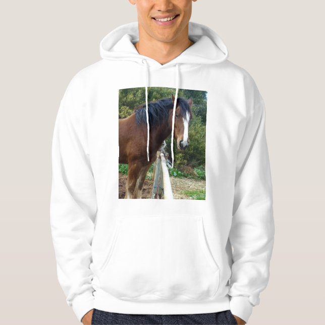 Big Brown Clydesdale Horse, Hoodie (Framsida)