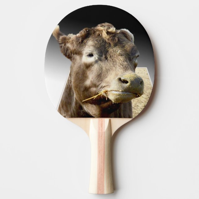 Big Brown Cow Ansikte, Pingisracket (Framsidan)