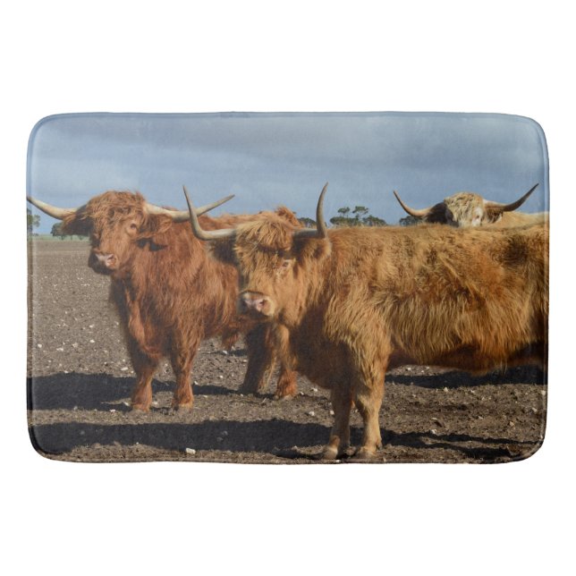 Big Brown Highland Cow, Memory Foam Bathmat Badrumsmatta (Framsidan)