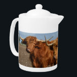 Big Brown Highland Cows<br><div class="desc">De är Big Brown Highland Cows.</div>