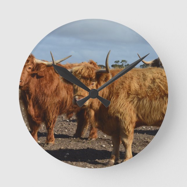 Big Brown Highland Cows Rund Klocka (Framsida)