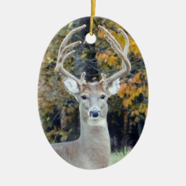 Big Buck Antlers Ornament (Framsidan)