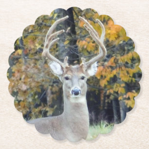 Big Buck Antlers Underlägg Papper