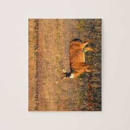 Big Buck, Big Meadows, Shenandoah National Park Pussel