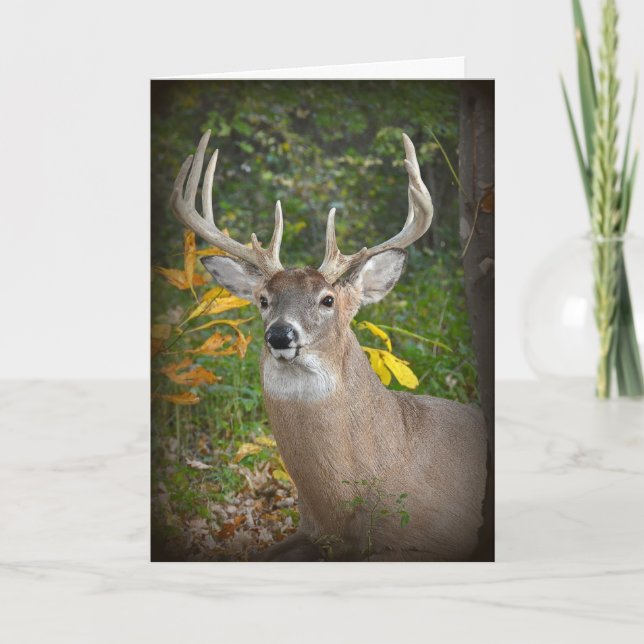 Big Buck Birthday Kort (Framsida)