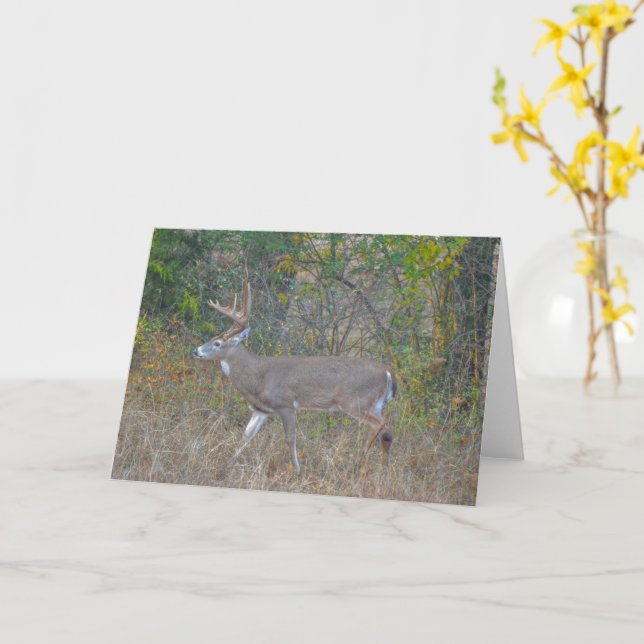 Big Buck-Hjort i Texas Art Note Card Kort (Gul blomma)
