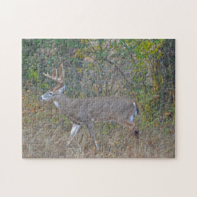 Big Buck Hjort i Texas Vild Animal Puzzle Pussel (Horisontell)