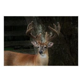 Big Buck Hjort Perfect Poster