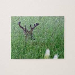 Big Buck In Tall Grass Pussel