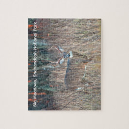 Big Buck, Shenandoah National Park Pussel