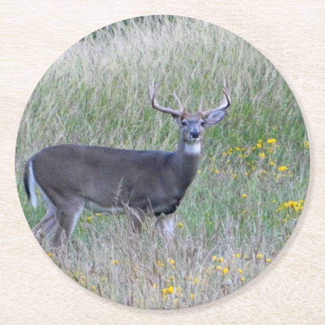 Big Buck (sommartid) Papper Underlägg Rund (Framsidan)