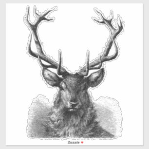 Big Buck Sticker Klistermärken