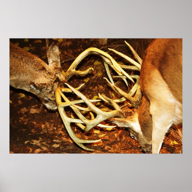 Big Bucks Battle Poster (Framsidan)