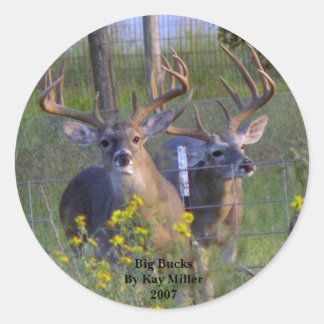 Big BucksBy Kay Miller2007 Runt Klistermärke