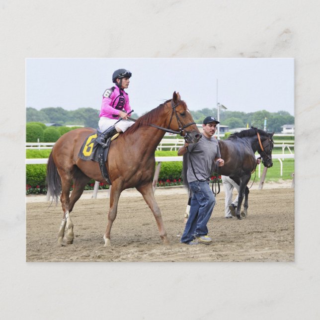 Big Business, Belmont Park Vykort (Framsida)