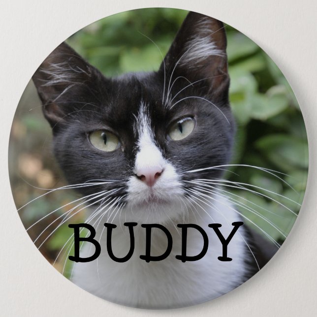 BIG BUTTON PET CAT CUSTOM KNAPP (Framsida)