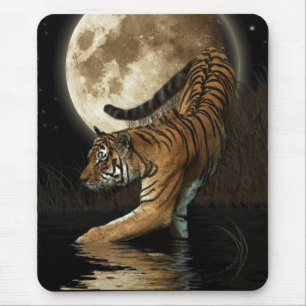 BIG CAT Bengal, Sibiriska indiska tigern, musslor Musmatta