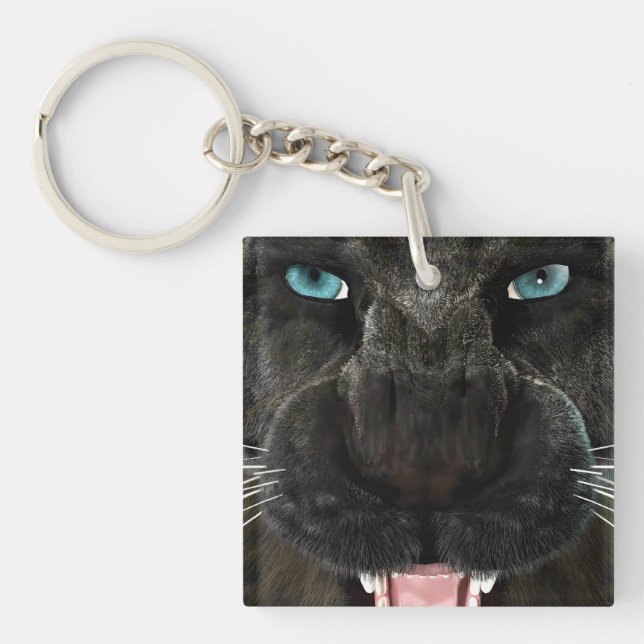 Big Cat Black Panther (Framsidan)