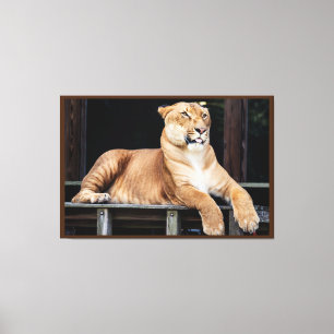 Big Cat Canvastryck