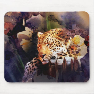 Big Cat Musmatta