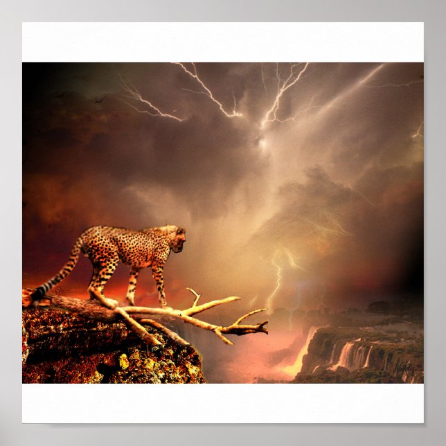 BIG CAT POSTER (Framsidan)