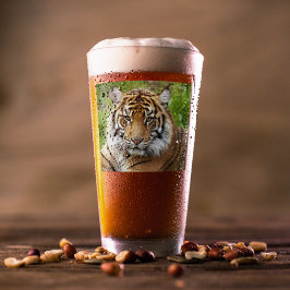 Big Cat Sumatran Tiger Photo Glaskopp