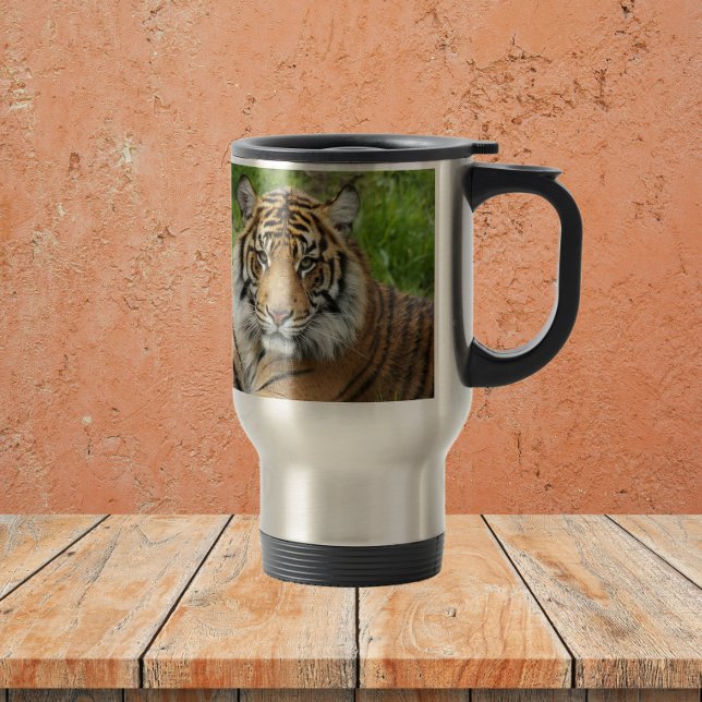 Big Cat Sumatran Tiger Resemugg (In Situ)