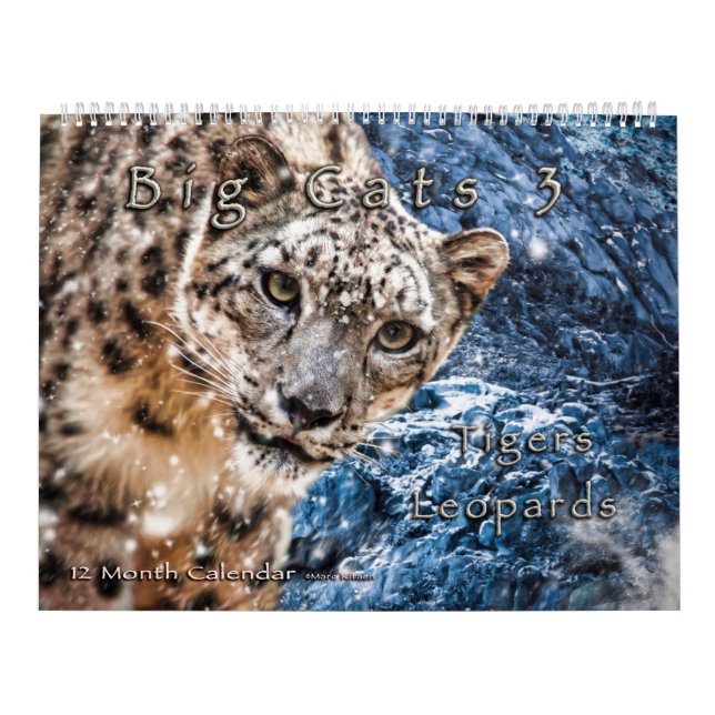 Big Cats Art #3 Calendar Kalender (Omslag)