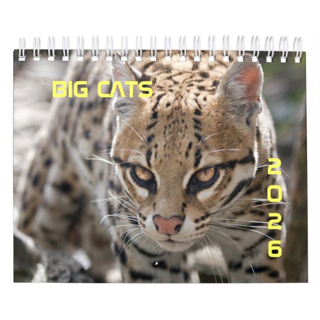 Big Cats-kalender Kalender (Omslag)