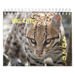 Big Cats-kalender Kalender