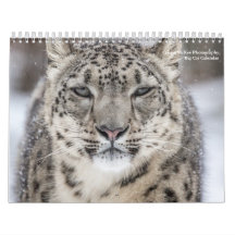 Big Cats-kalender