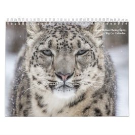 Big Cats-kalender Kalender