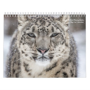 Big Cats-kalender Kalender
