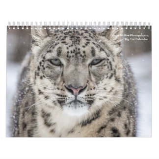 Big Cats-kalender Kalender