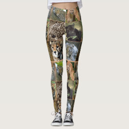 BIG CATS LEGGINGS
