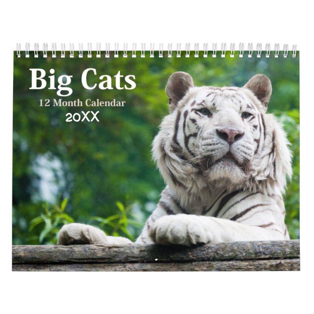 Big Cats Wildlife Calendar 2021 Kalender (Omslag)
