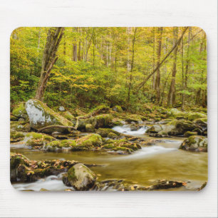 Big Creek   North Carolina Musmatta
