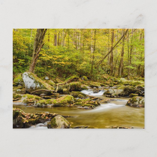 Big Creek | North Carolina Vykort (Framsida)