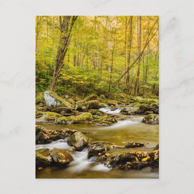 Big Creek | North Carolina Vykort (Framsida)