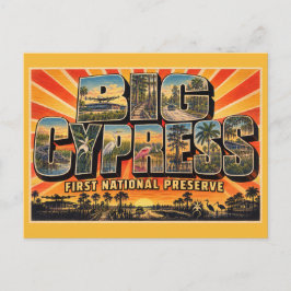 Big Cypress National Preserve Florida Sumpmark Vykort