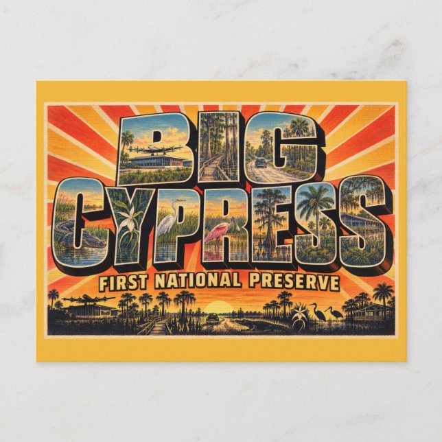 Big Cypress National Preserve Florida Sumpmark Vykort (Framsida)