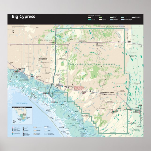 Big Cypress National Preserve Poster (Framsidan)