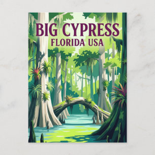 Big Cypress National Preserve USA Vykort
