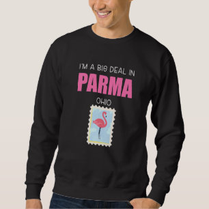 Big Deal Sarcastic Rosa Flamingo Parma Ohio Souven Lång Ärmad Tröja