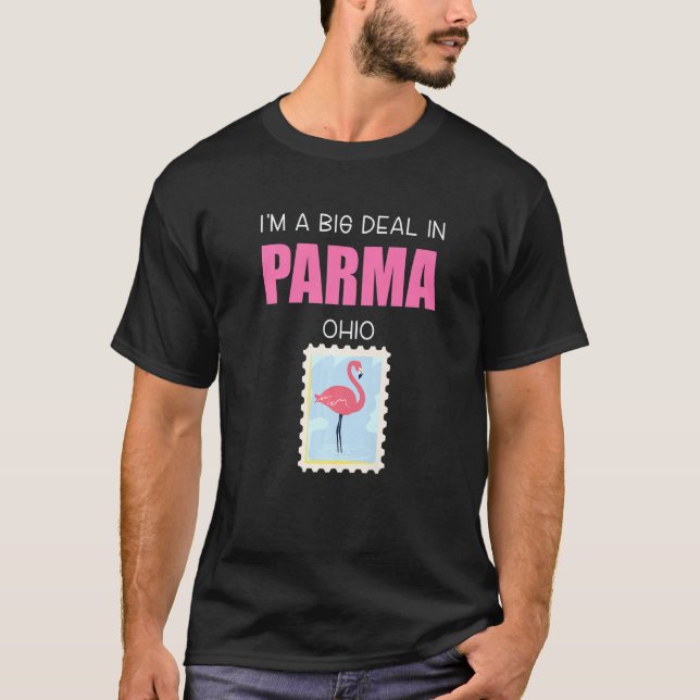Big Deal Sarcastic Rosa Flamingo Parma Ohio Souven T Shirt (Framsida)