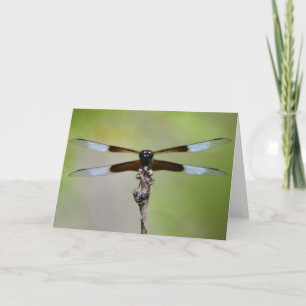 Big Dragonfly Close Up Nature Note Card Kort