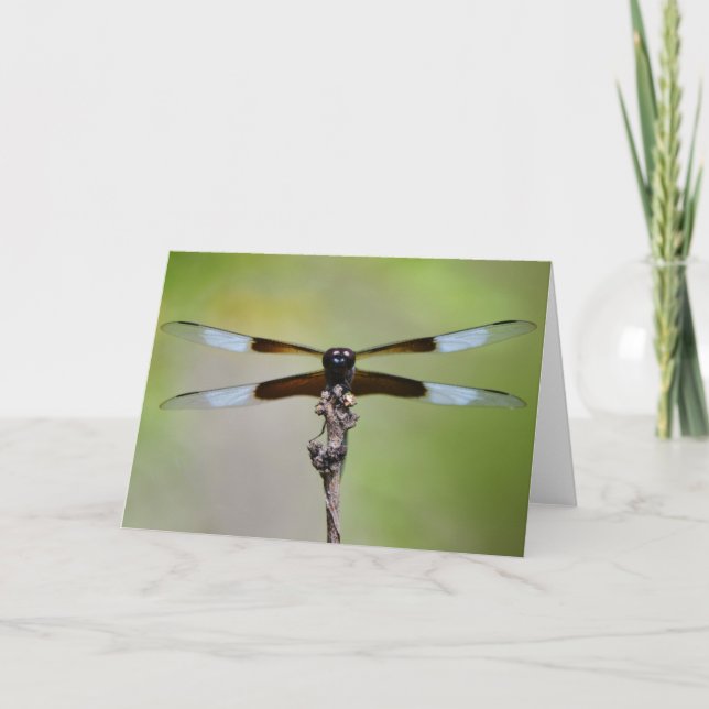 Big Dragonfly Close Up Nature Note Card Kort (Framsida)